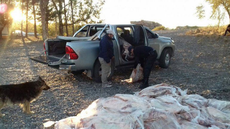La Policía Caminera en otra oportunidad decomisó 85 costillares en Catriel. La Policía Caminera en otra oportunidad decomisó 85 costillares en Catriel.