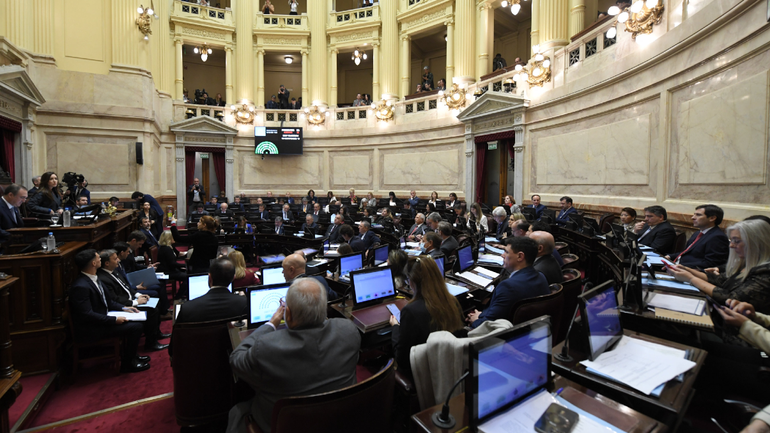 Ley Bases: qué senadores votaron a favor y cuáles en contra