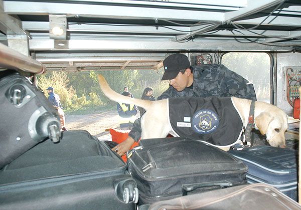 Policía y Tránsito controlan accesos a la ciudad