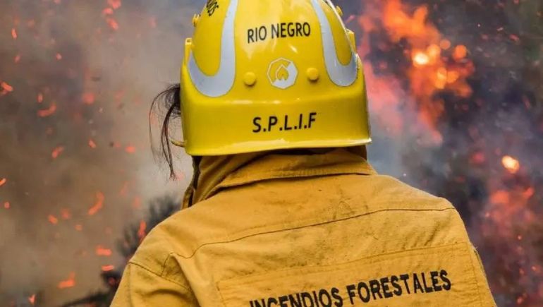 La provincia avanzó en acuerdos como parte de la estrategia de prevención para la temporada de incendios forestales. La provincia avanzó en acuerdos como parte de la estrategia de prevención para la temporada de incendios forestales.