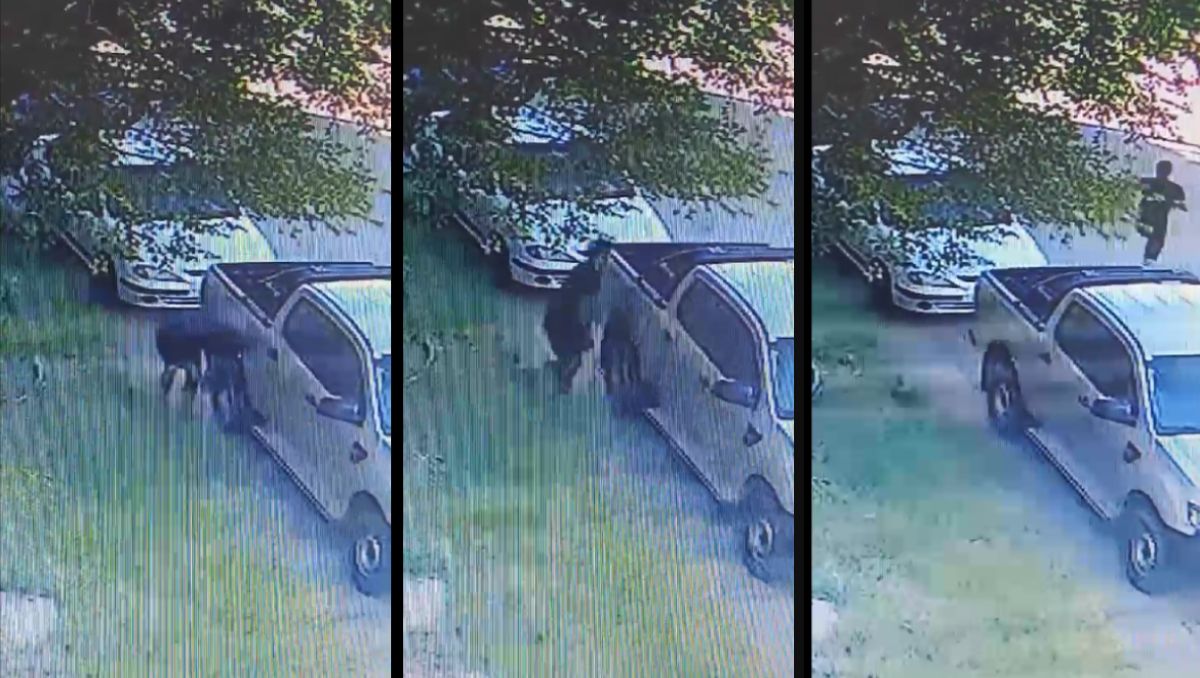 Video: pareja de robarruedas fue descubierta