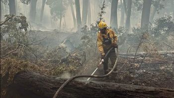 Continúa el incendio de bosques en Bariloche. Un equipo de 51 rescatistas lucha contra las llamas. 