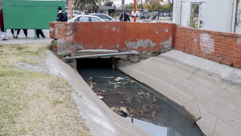 Hay acumulación de peces muertos en el canal y los vecinos están hartos del olor