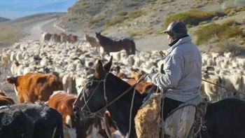 Productores de toda la provincia participarán de una nueva jornada para renovar la Comisión de Huellas de Arreo. | LMCipolletti.com Productores de toda la provincia participarán de una nueva jornada para renovar la Comisión de Huellas de Arreo.