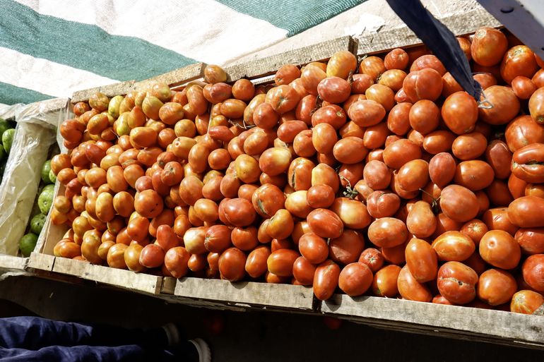 El cajón de tomate perita ronda los 6 mil pesos en Cipolletti. Foto Anahí Cárdena.