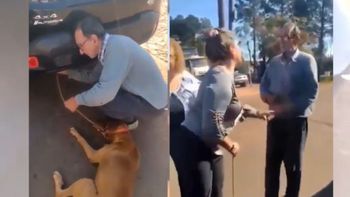 Video: arrastraba a su perro con el auto y creen que iba a sacrificarlo