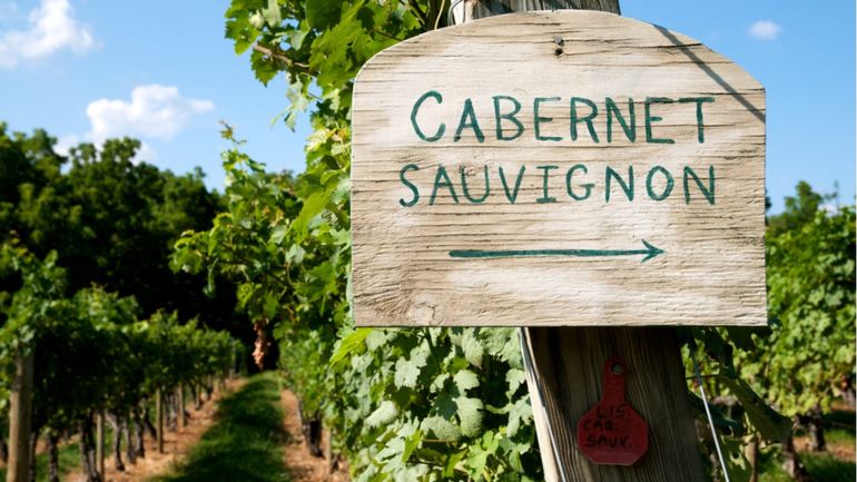 Doce Cabernet Sauvignon desde $2000 para celebrarlo
