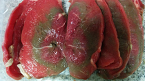 carne y pescado en mal estado: 700 kilos decomisados