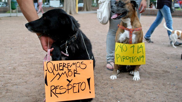 Los proteccionistas de animales fueron los impulsores del veto a la pirotecnia. Buscaban la prohibición total.