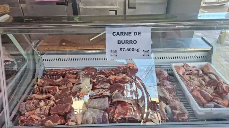 Bassi explicó que el único frigorífico habilitado para la carne de burro es el de Chimpay.