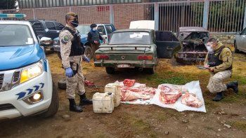 llevaban una vaca faenada en el auto y los detuvieron llevaban una vaca faenada en el auto y los detuvieron