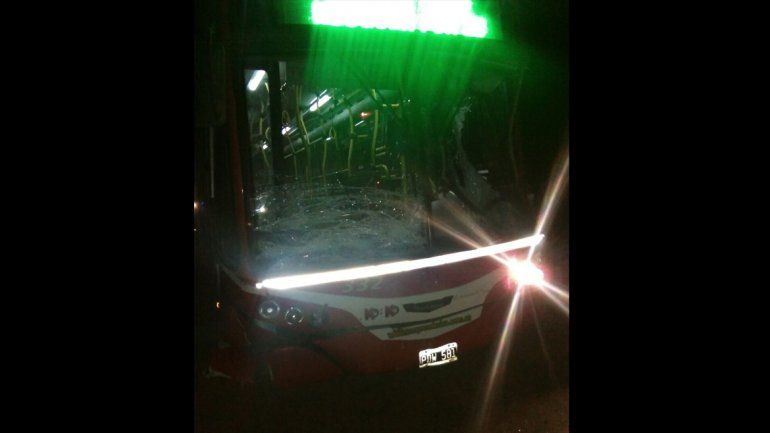 Un colectivo chocó a dos caballos sobre Ruta 22