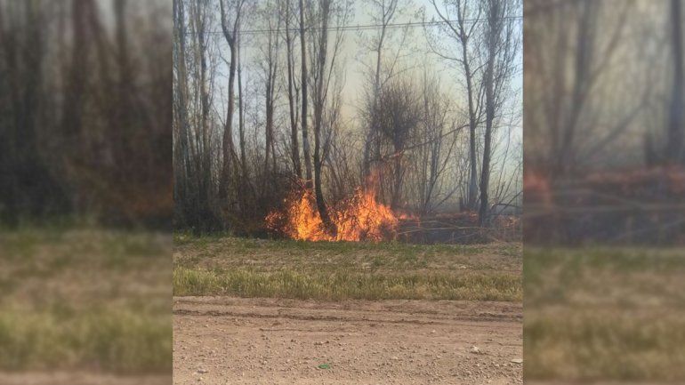 Cinco dotaciones de bomberos combaten un incendio en la ruta