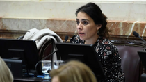 discapacidad: el voto de los senadores de rio negro y neuquen