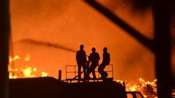incendio voraz: 12 empleados de la papelera con lesiones