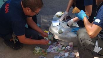 La Policía de Las Perlas atrapó al ladrón en un desarmadero y encontró una parte del dinero robado dentro de un tanque de combustible. 
