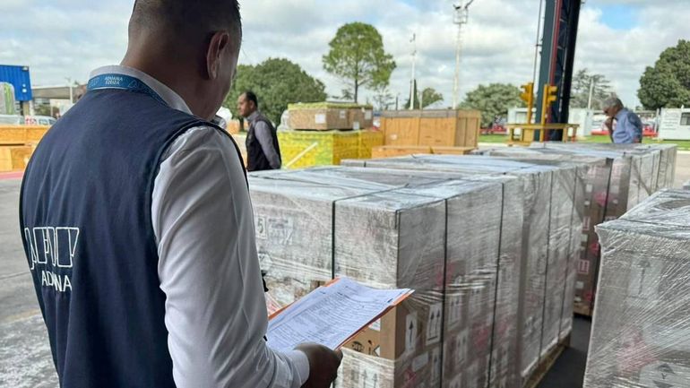 Dengue: llegaron al país 22 mil repelentes donados por México