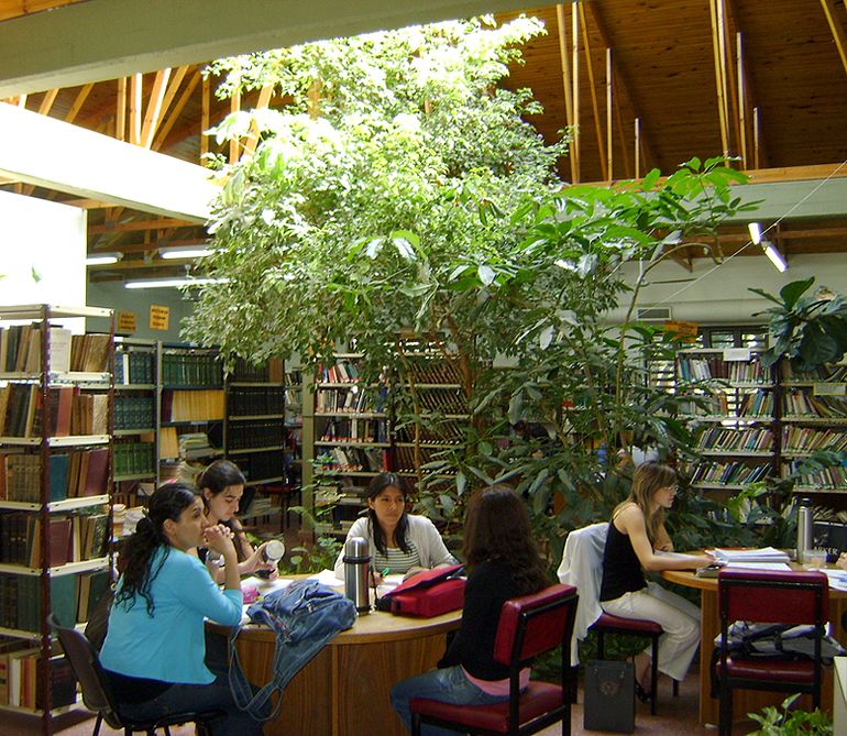 La biblioteca de la Fadecs. 