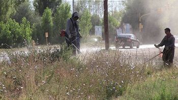 El Municipio de Cipolletti limpia baldíos y, si son terrenos privados, cobra el servicio y una multa a los propietarios.