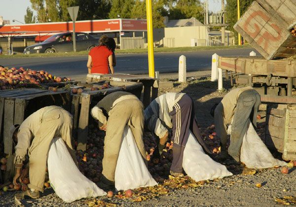 Camión perdió carga de manzanas en la rotonda