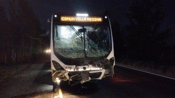 ruta 65: colectivo de la empresa ko-ko choco contra un caballo ruta 65: colectivo de la empresa ko-ko choco contra un caballo