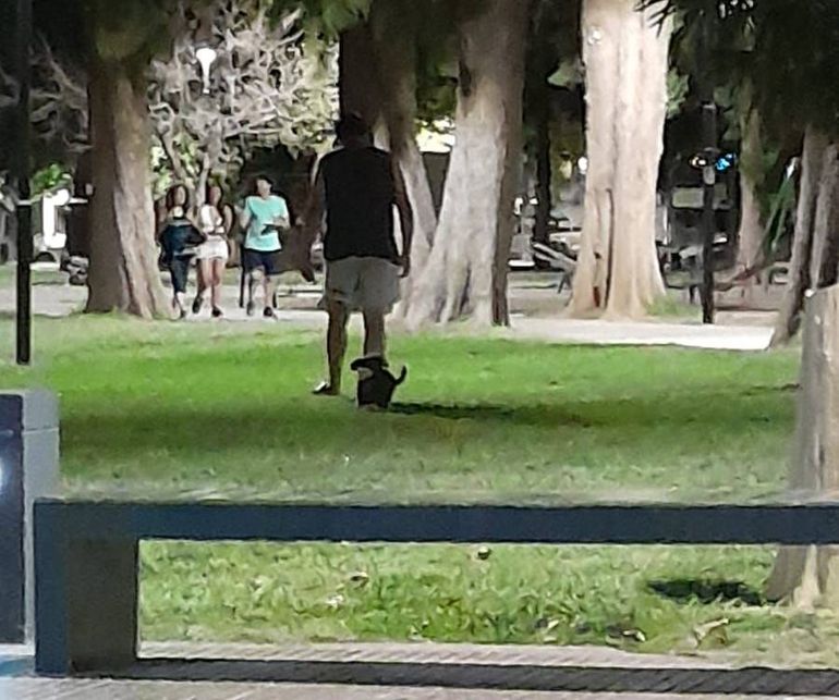 La imagen que compartió el vecino en las redes sociales y armó la polémica.