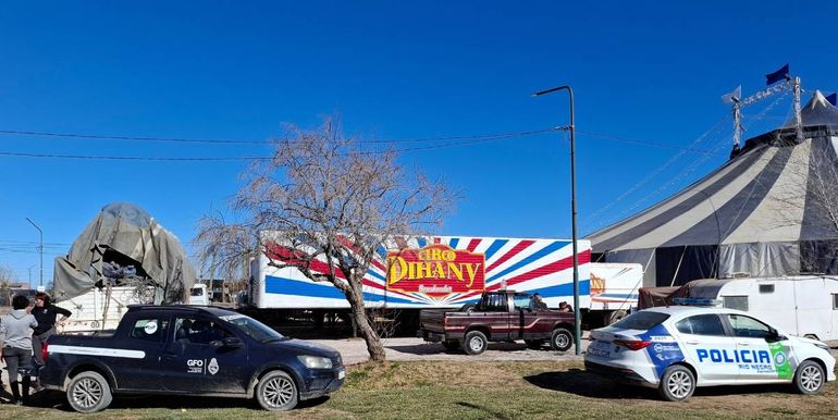El circo Dihany copó Fernández Oro. Foto Inforo.