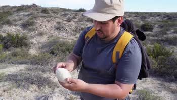 Las cámaras captaron el momento exacto en que  descubrieron huevo de dinosaurio.