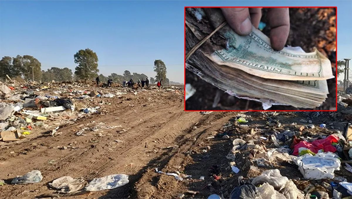 Encontraron 75 mil dólares y se desató una búsqueda del tesoro