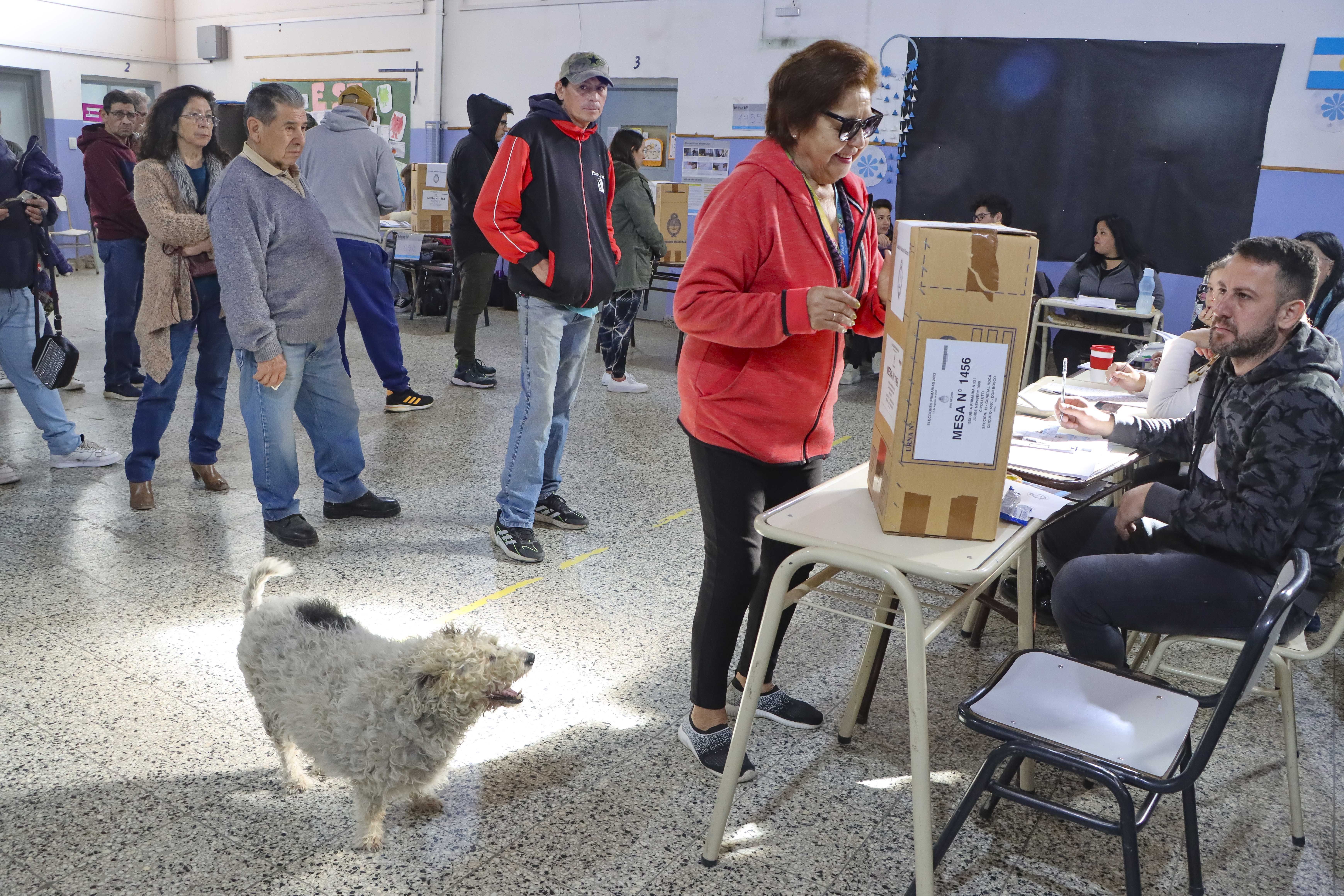 Cerraron las PASO 2023 y comenzó el escrutinio