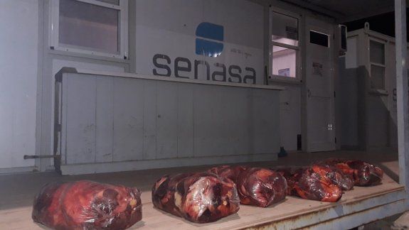 Decomisaron más de 170 kilos de carne ilegal que entraba a Río Negro