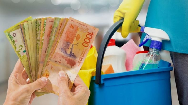 Para confeccionar el recibo de sueldo para las empleadas domésticas se debe contar con los porcentajes de incremento de cada mes y luego  realizar la carga de esos datos en la página del ARCA.