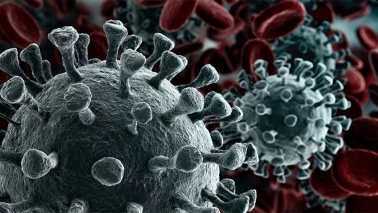 Detectan en Belo Horizonte una variante más infecciosa y agresiva