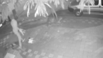 video: indignacion por un adolescente que mata gatos en la calle
