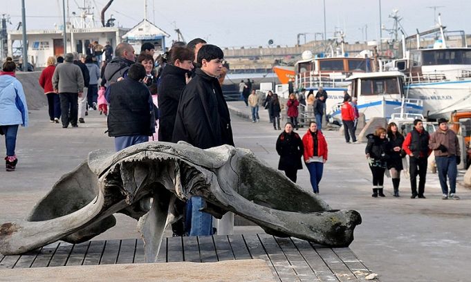 Miles de turistas ocupan el 80% de las plazas hoteleras por el fin de semana largo