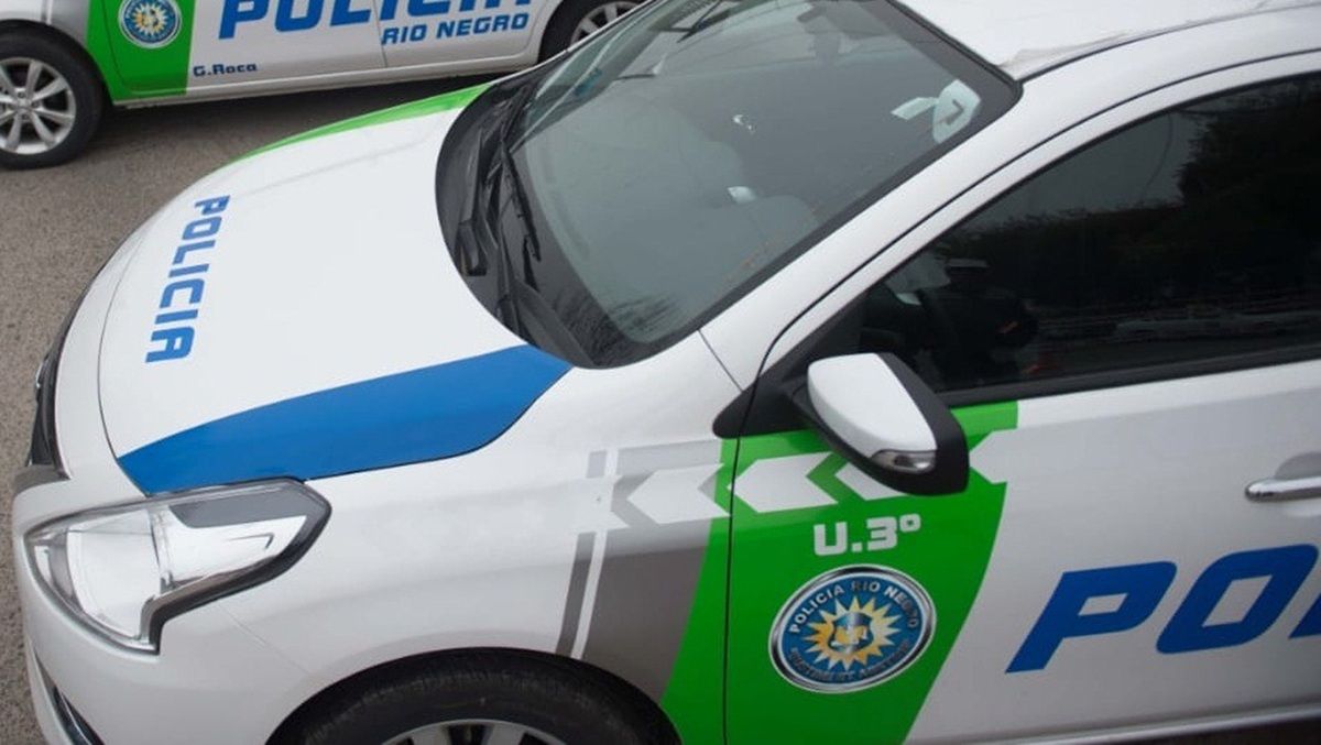 El operativo fue realizado por personal policial de la Comisaría 3°. Foto: Gentileza.