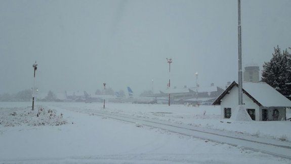 Localidades rionegrinas sin luz por fuertes nevadas y árboles caídos 