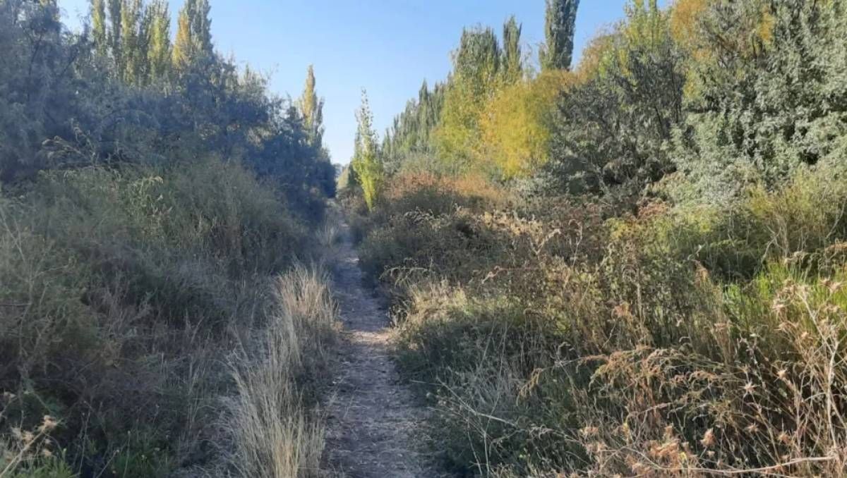 Las vías desaparecieron y es inexplicable que eso suceda después de las expectativas generadas.