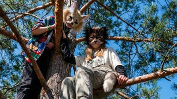 El encuentro fue anunciado para el próximo domingo 15 de febrero.