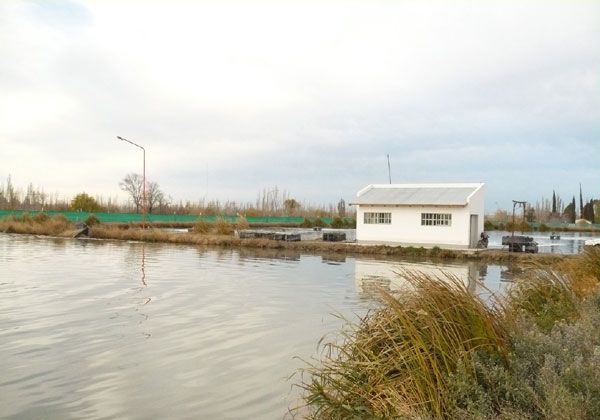 Gestiones para la planta cloacal