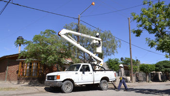 centenario: podo un arbol y dejo a tres barrios sin luz