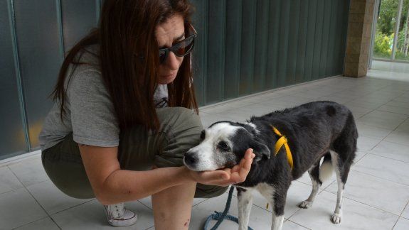 Fue atacada por una dogo en Neuquén y se tuvo que tirar al río 