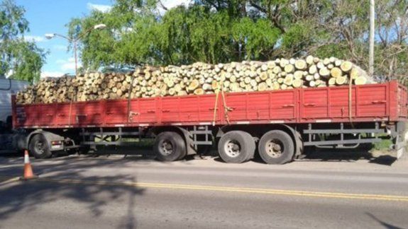 Decomisaron leña transportada de manera ilegal
