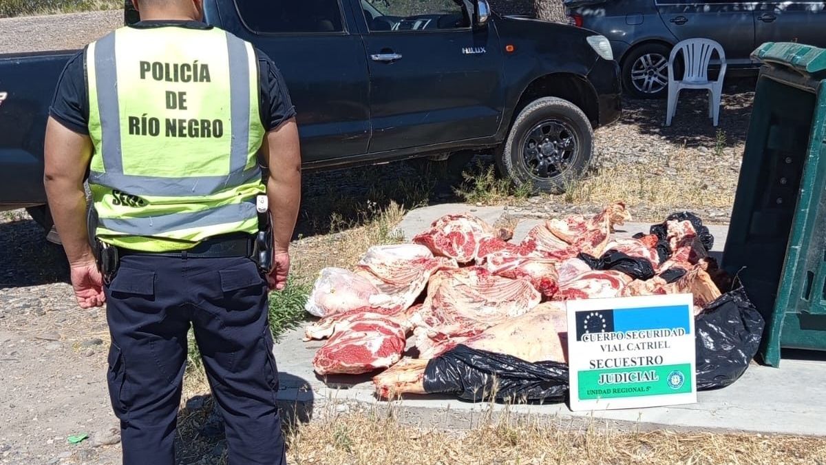 Durante la inspección del rodado, los agentes constataron la presencia de 300 kilos de carne bovina que no cumplía con las condiciones de salubridad exigidas por la normativa vigente.