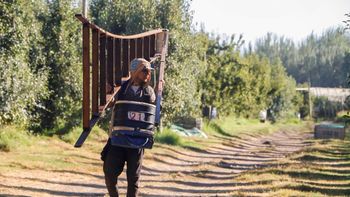 El proyecto de modernización laboral genera tensión entre UATRE y productores por el impacto en el empleo rural, las pymes y la inversión. | LMCipolletti.com El proyecto de modernización laboral genera tensión entre UATRE y productores por el impacto en el empleo rural, las pymes y la inversión.