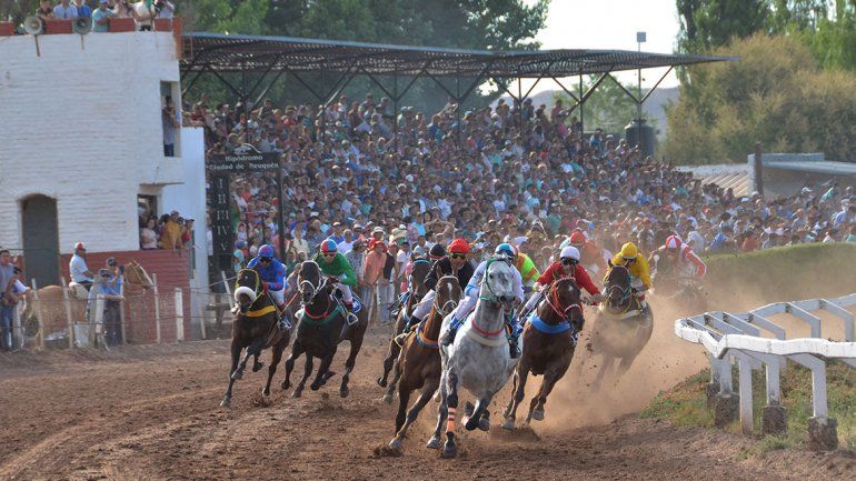 Ahora las proteccionistas van contra las carreras de caballos