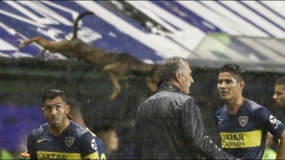 Tiró un perrito a la cancha de Boca desde la tribuna y lo sancionarían