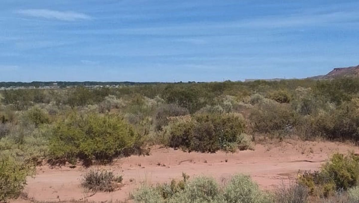 La búsqueda se movilizó a la zona de bardas de Plottier.