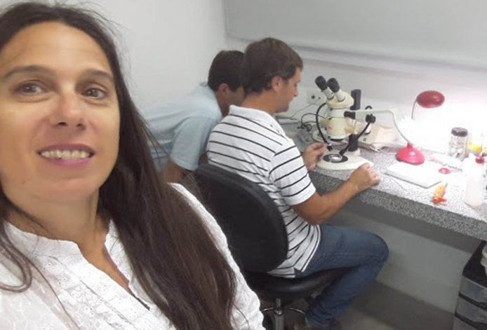 Descubren un nuevo caracol desnudo en el golfo San Matías