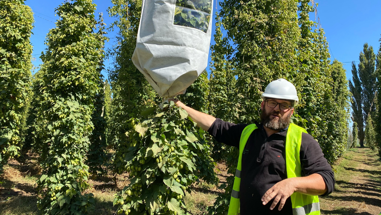 Existe un área de investigación y desarrollo para implementar nuevas variedades y optimizar los procesos de producción.